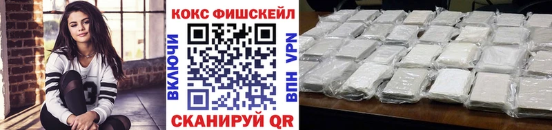 цены   Нижнекамск  COCAIN Fish Scale 