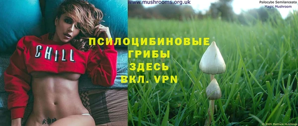 бошки Костерёво