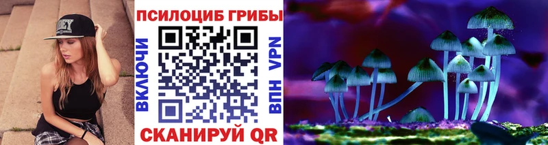 наркотики  MEGA зеркало  Галлюциногенные грибы Psilocybine cubensis  Нижнекамск 